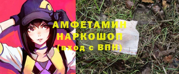 гашик Алексеевка
