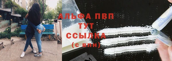 гашик Алексеевка
