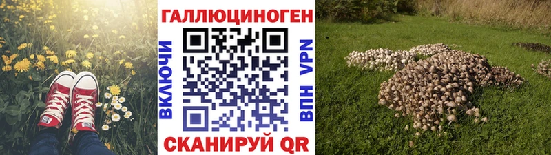 Галлюциногенные грибы Psilocybe  где найти   гидра онион  Шумерля 